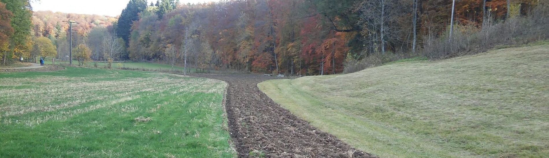 Ackerfläche in Realteilungsgebiet Reutlingen